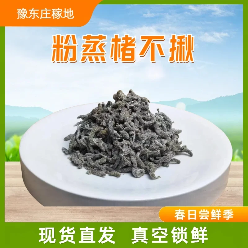 2025新品上市熟食蒸菜蒸楮不揪构树穗楮树穗真空锁鲜蒸构树穗