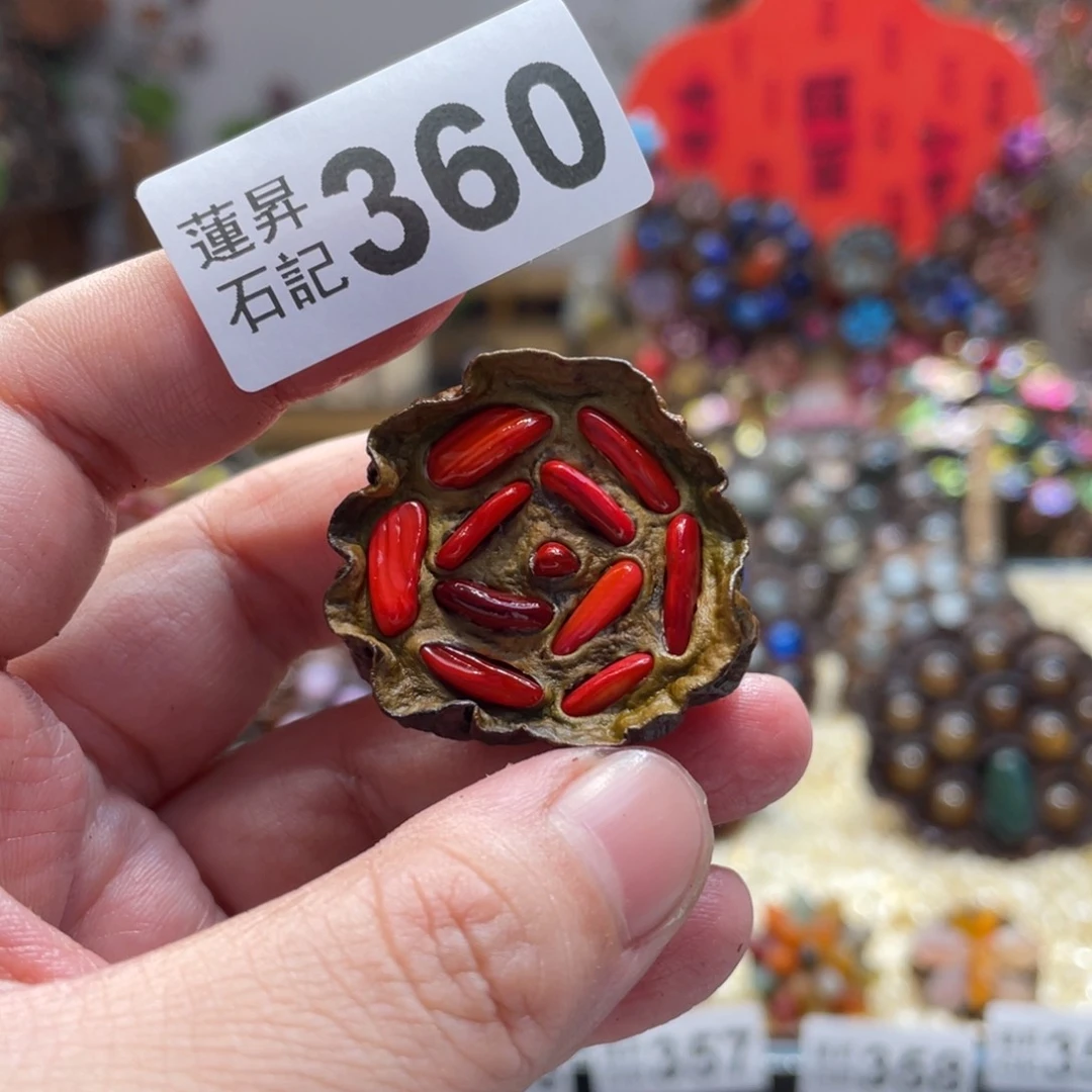 核桃木/黑胡桃（胡桃木）360