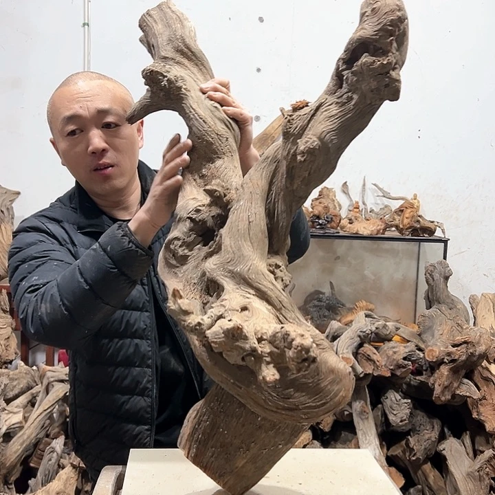 柏木华*我们的生活是以