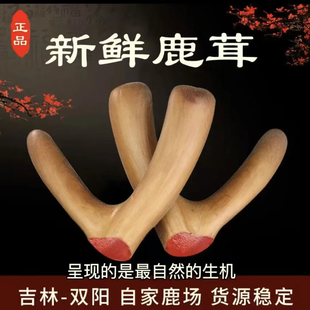 直播间称重   新鲜鹿茸   原产地直发