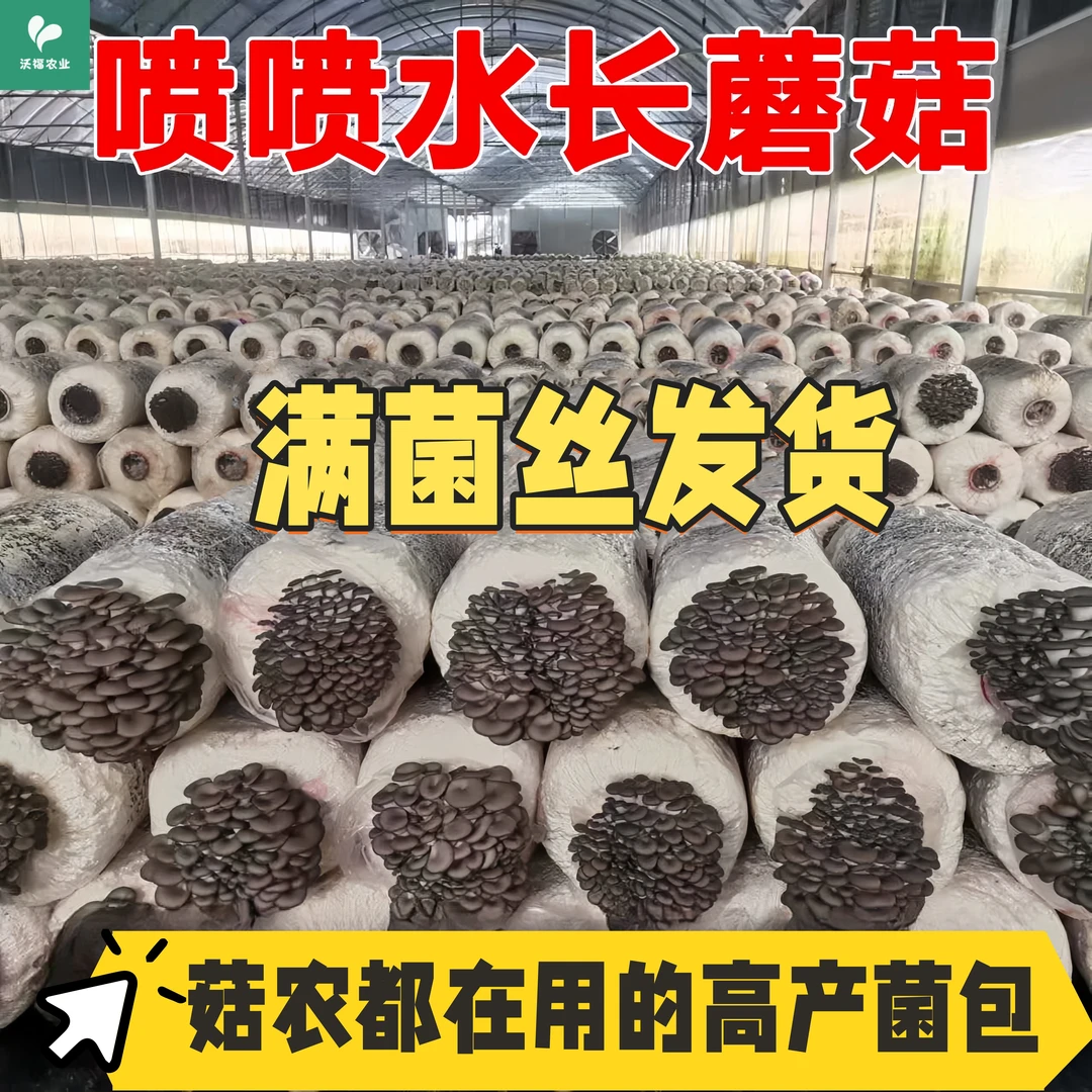 【种植户同款特大号菌包】种植菌种包家庭种植蘑菇菌包蔬菜种子菌包