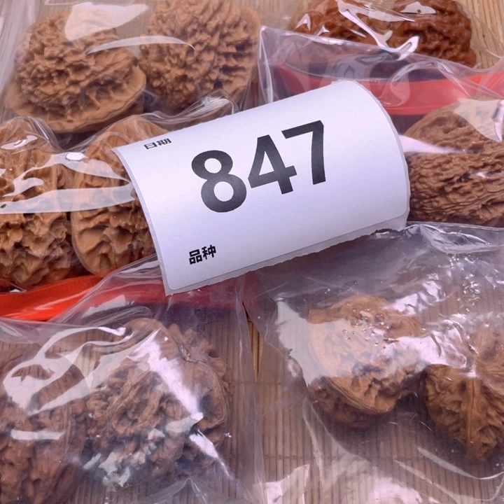 文玩核桃把件847号6对