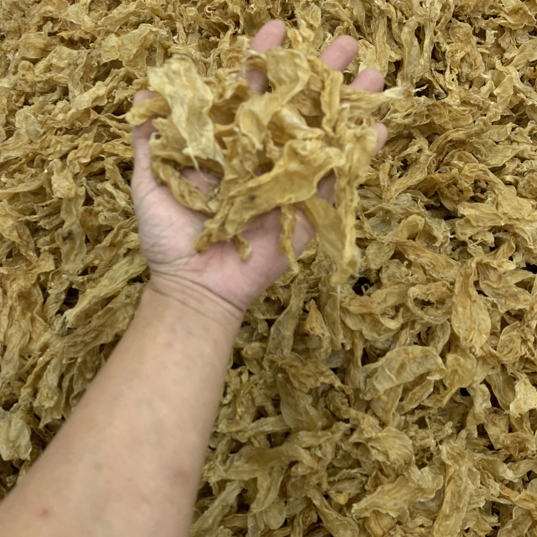 小甲肚条蜘蛛胶甲肚片胶深海足干鱼胶