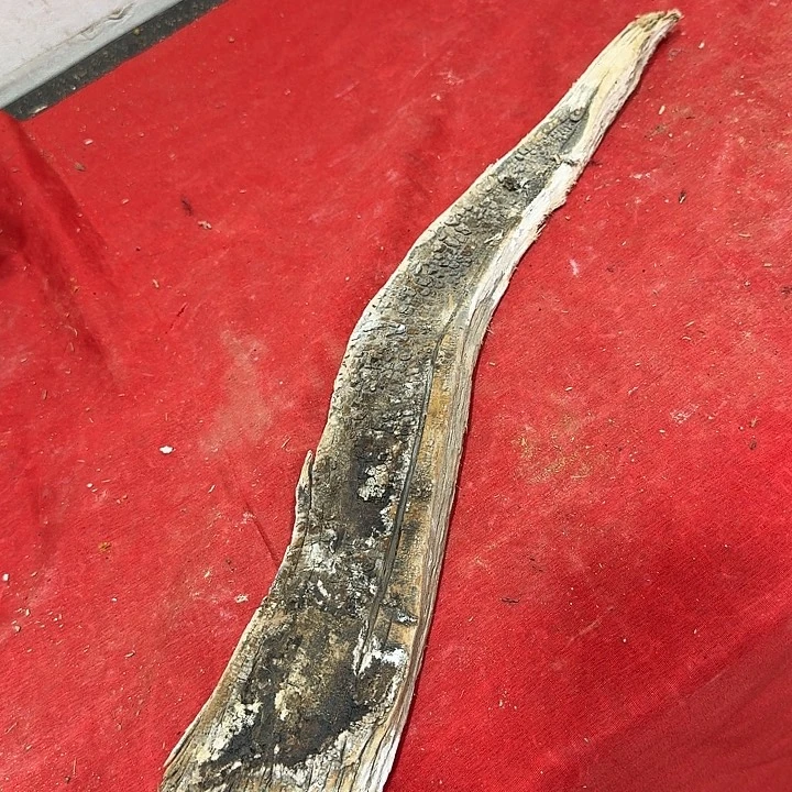 辉***N香榧木工艺品精选