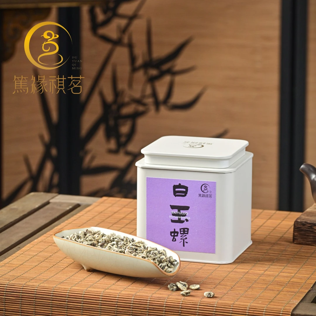 春茶季2025年头采茉莉花茶 白玉螺茉莉花茶 花香茶韵浓厚甘醇