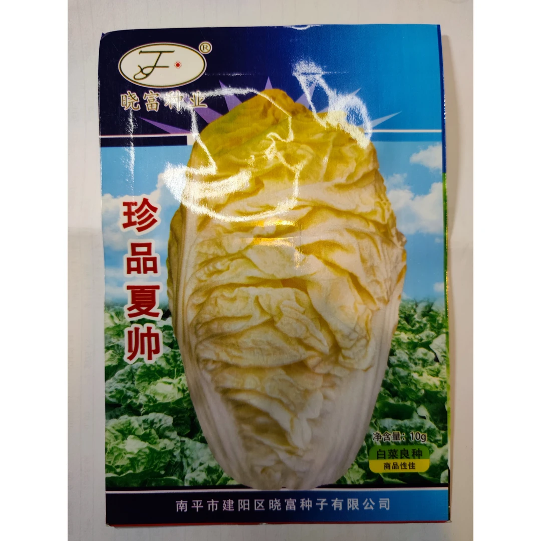 珍品夏帅黄心大白菜种子快菜种子鲜嫩脆家庭阳台露天播种春秋种植