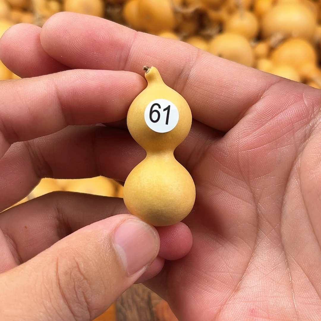 一葫芦葫芦葫芦葫芦61