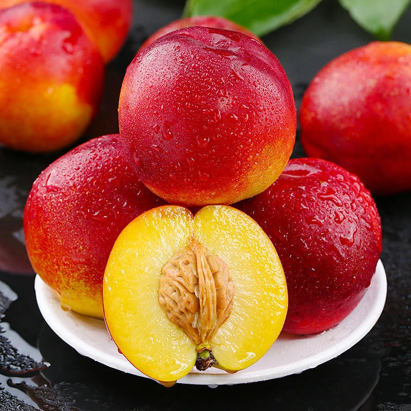 【坏果包赔】陕西黄肉油桃3/4.5斤装新鲜当季水果脆甜多汁【DB】