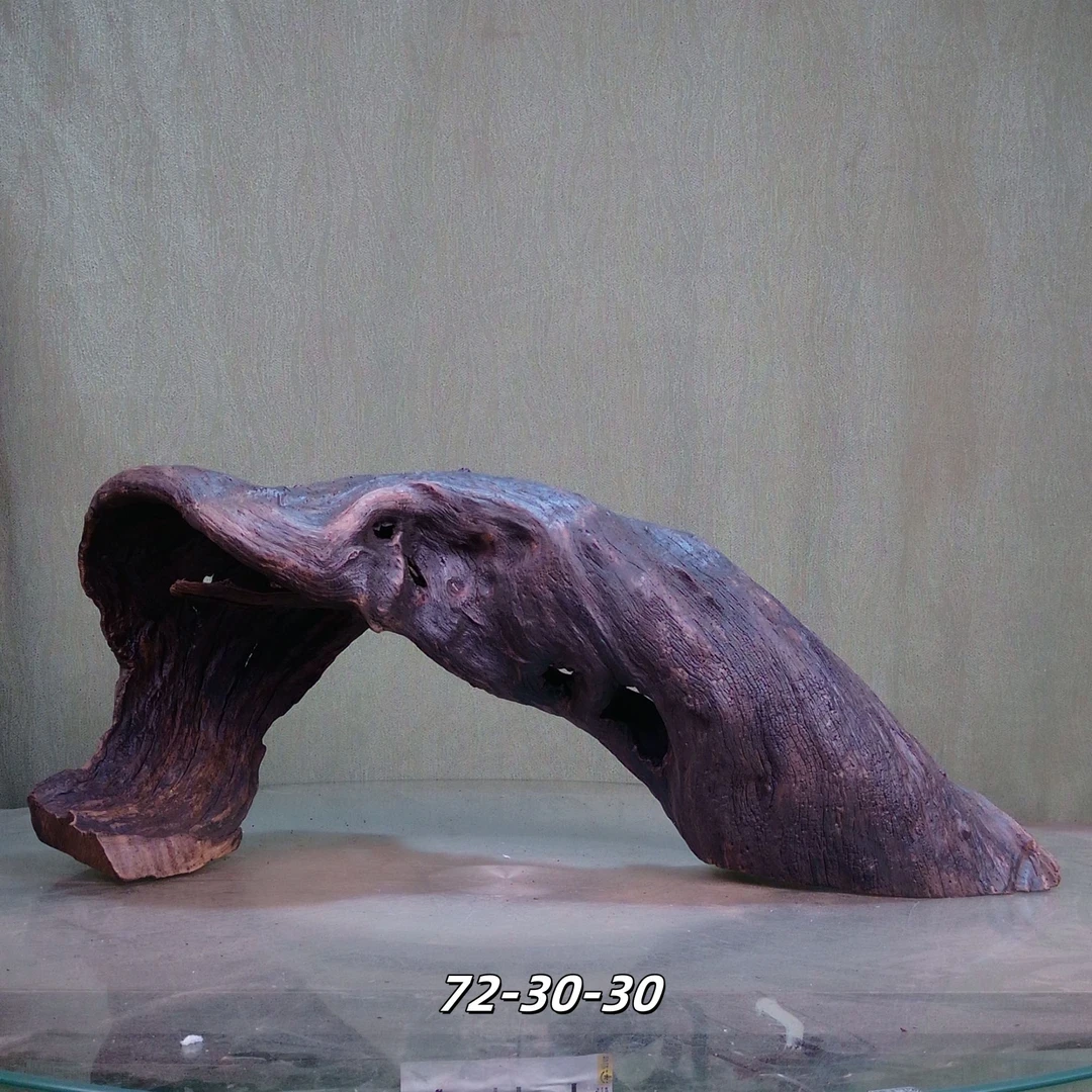 【景沐沉木】大型鱼缸精品紫柚木宽面斜坡乌龟爬拱桥沉木72-30-30
