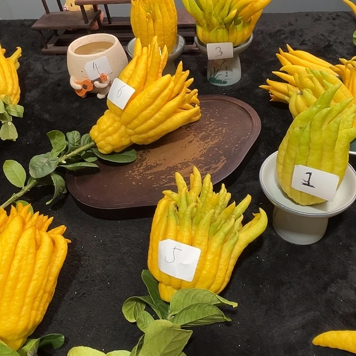 感***见完全开放九九九九七gvv