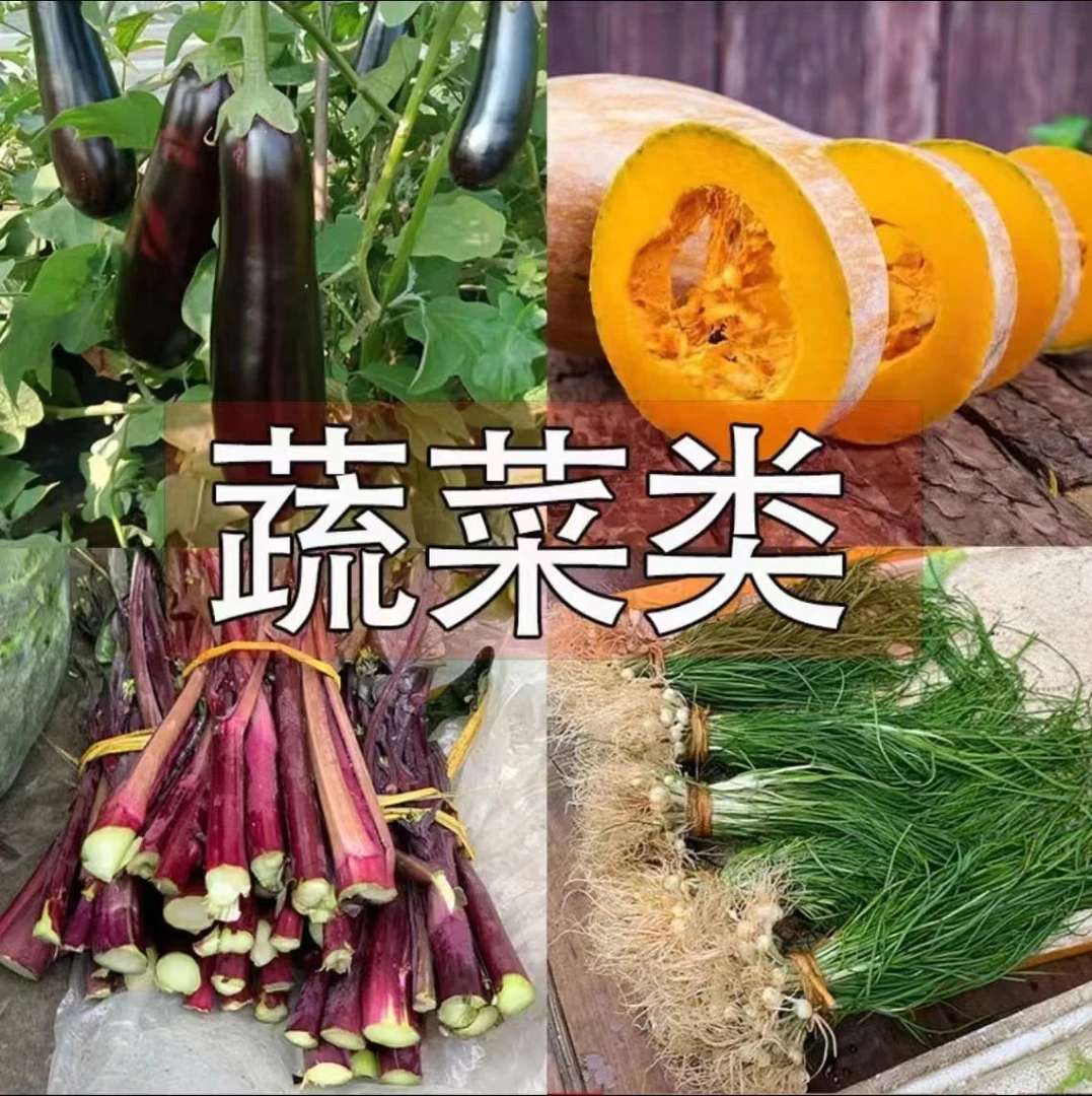 （阿武优选专属）湘西赶集农货土特产新鲜蔬菜健康美味辣椒