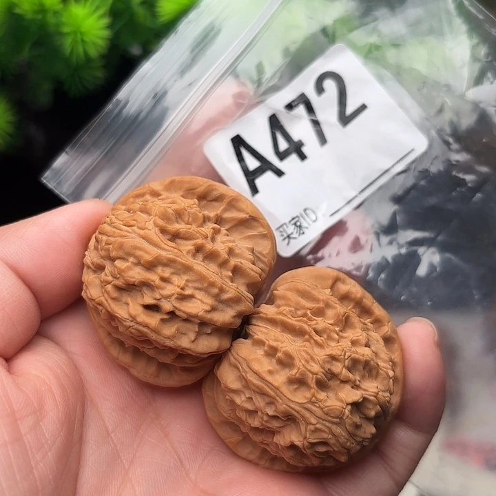 桃核把件核桃白狮子40
