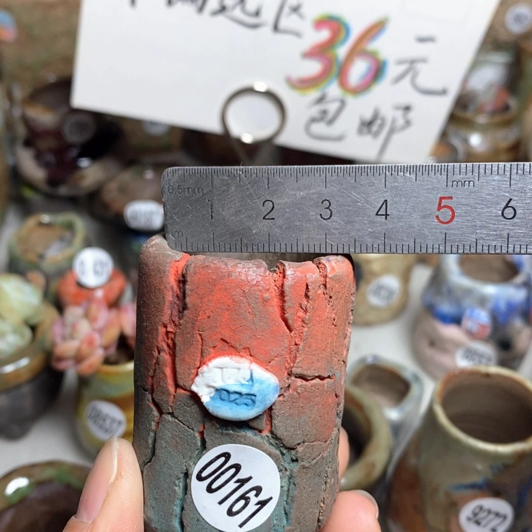 花盆拍3送一个小礼物