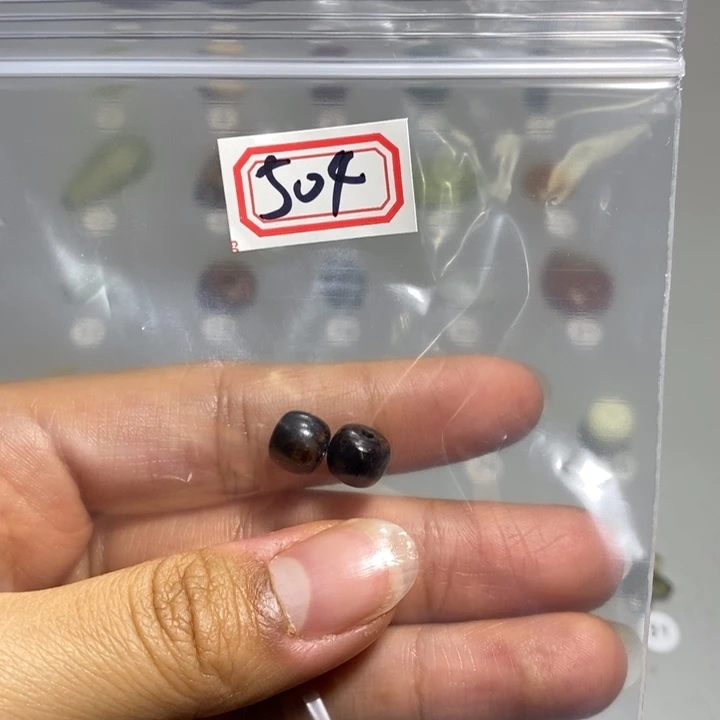 蛇纹石玉颈饰未镶嵌韩*