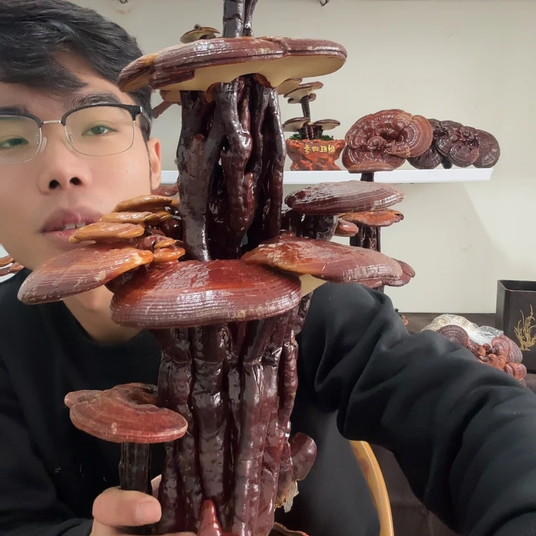 金****无花朵88888888888