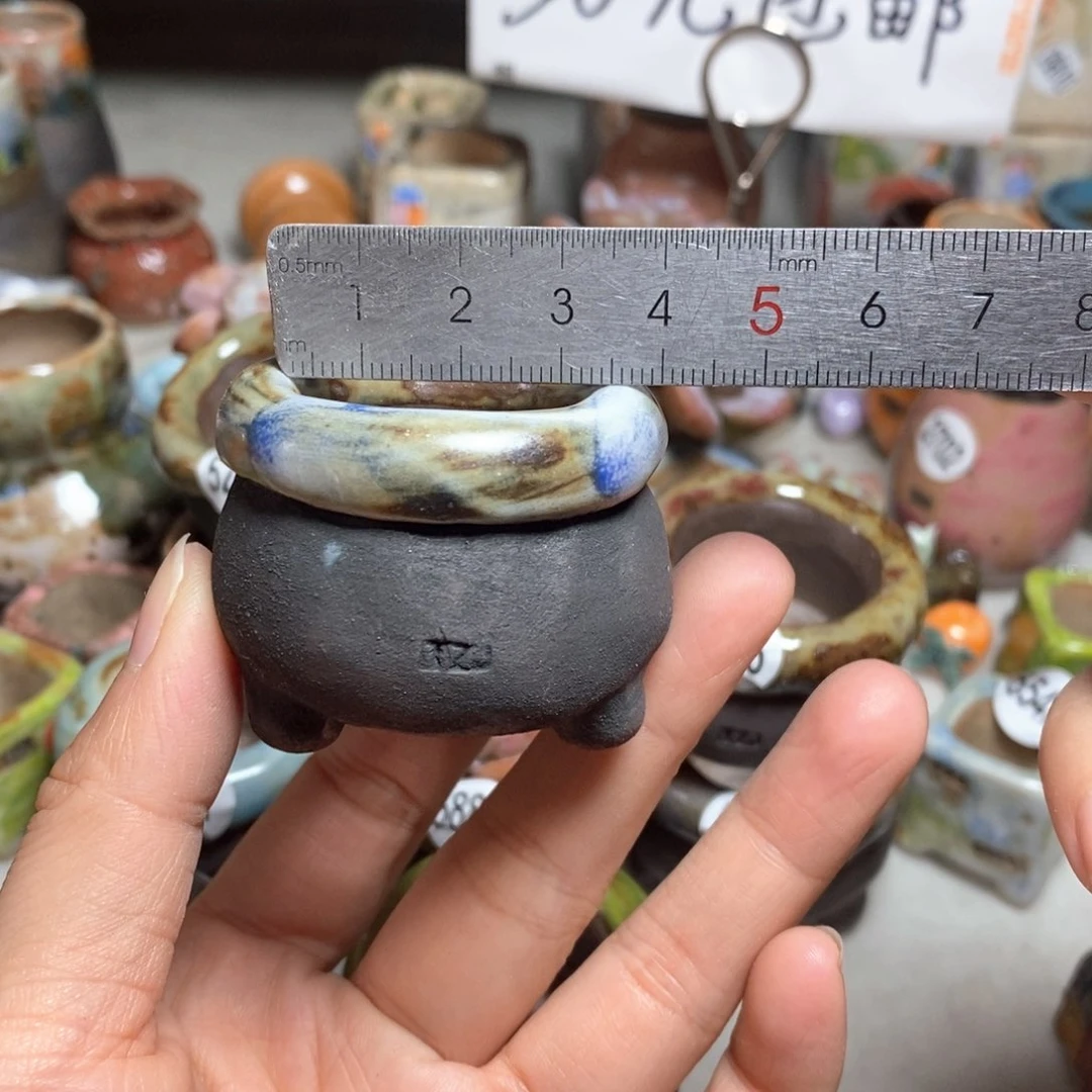 拍3送一个小礼物