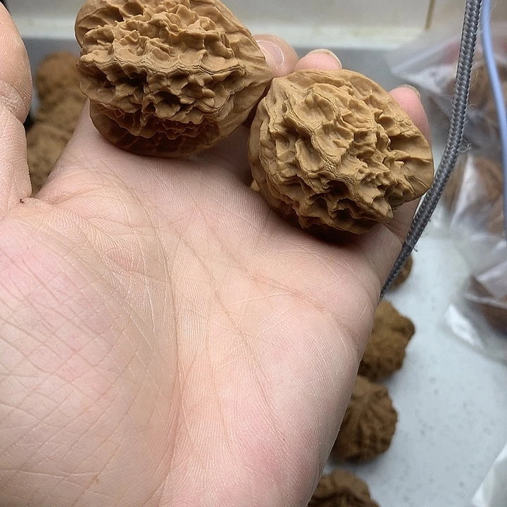 文玩核桃吊坠39 龙鳞纹天残脚