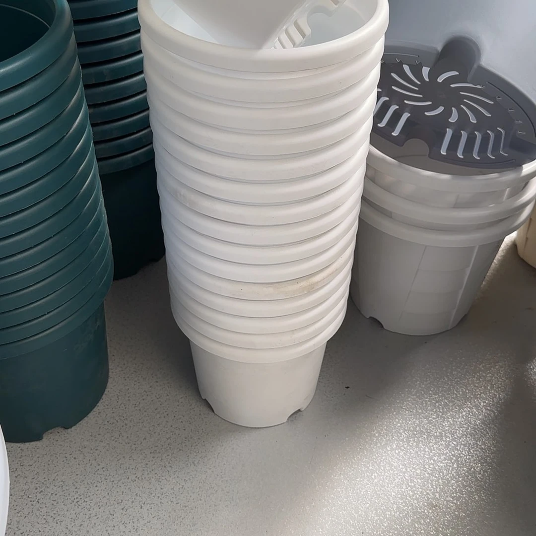 微瑕4号10个无托，白色