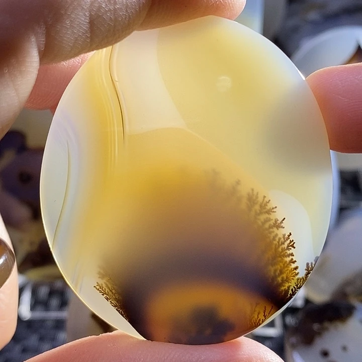 未镶嵌颈饰玛瑙/玉髓一*田