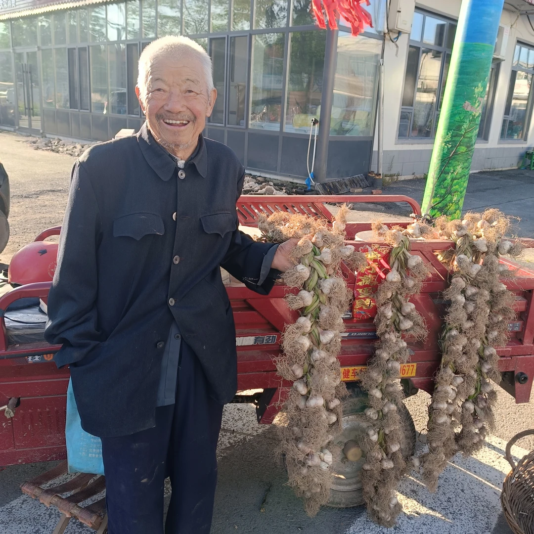 农家大蒜按辫算不按斤数一辫50头(现收现卖)