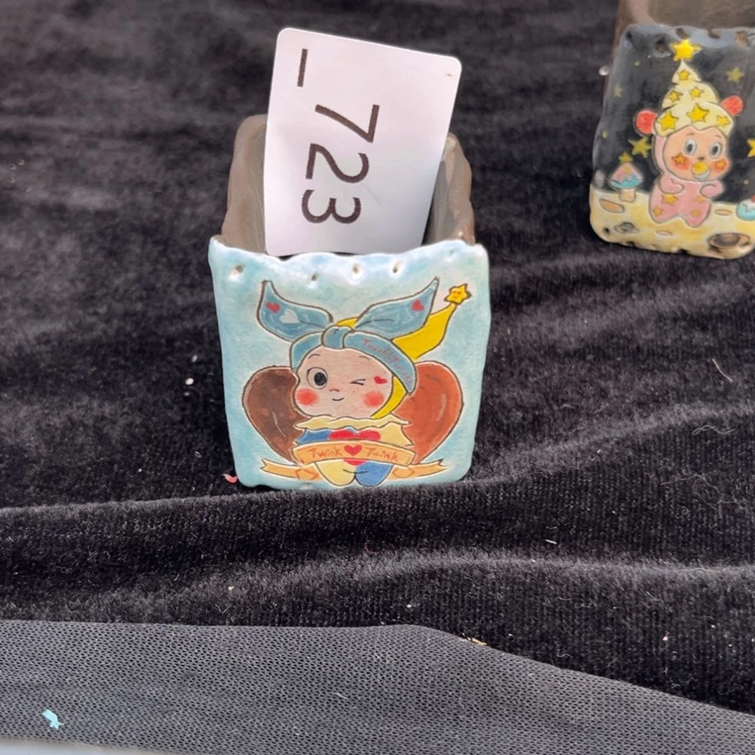 多***亿723多肉花盆48元1个