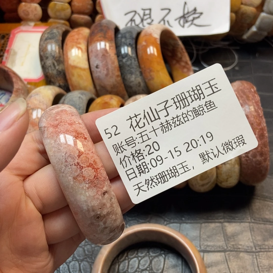 五***鱼未镶嵌硅化珊瑚（珊瑚玉）珠宝半成品52