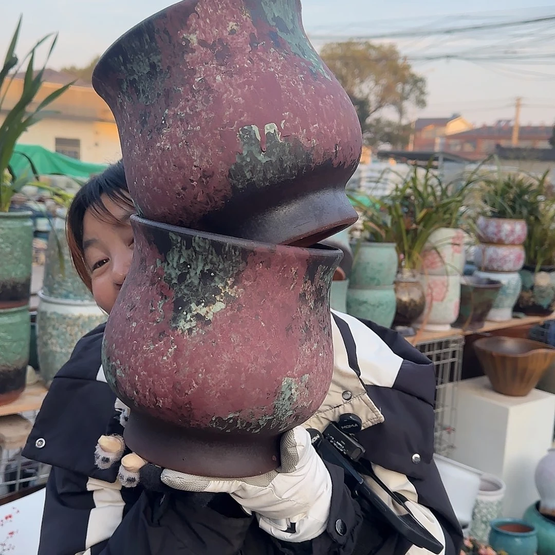 王嫂花盆1228-325高21口20