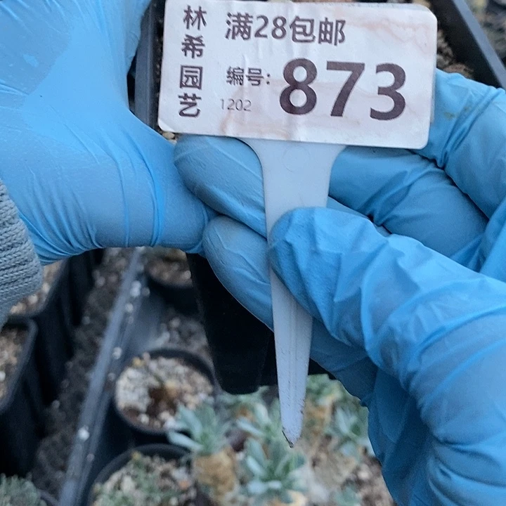 越*樾873一一一一一一一一一