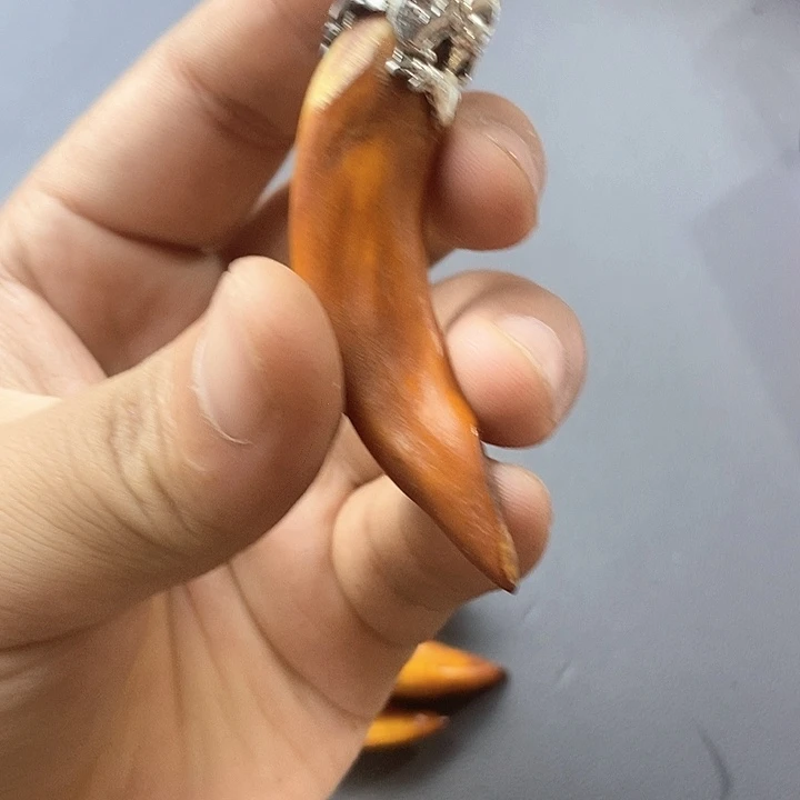 大果紫檀（缅甸花梨）389