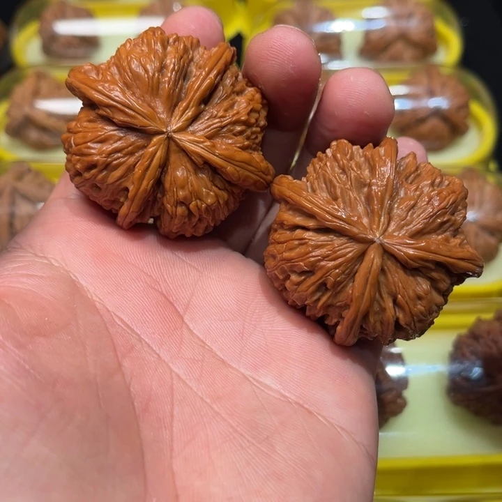 把件文玩核桃50白狮子球连