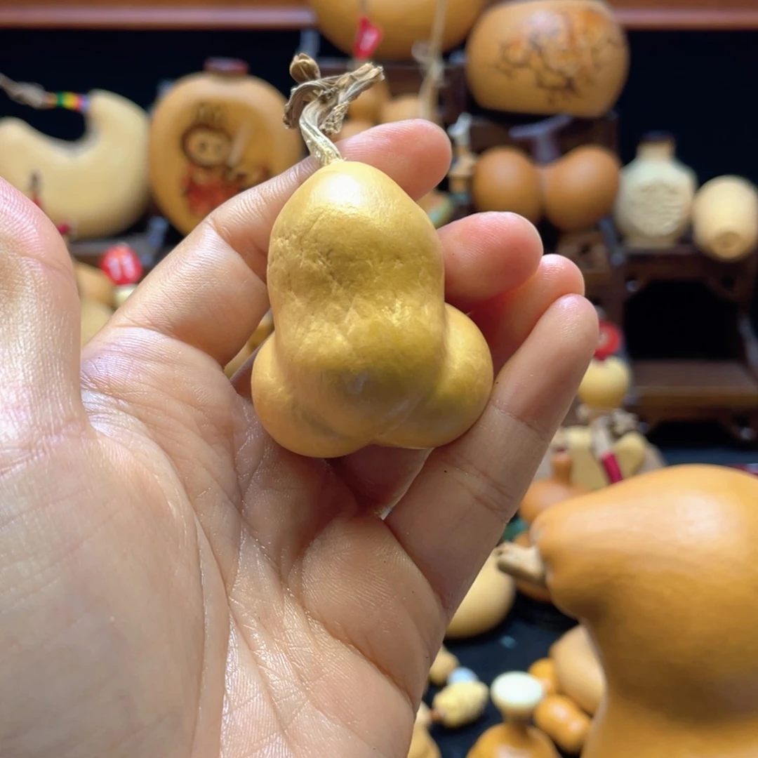 字**生大自然的秘密第十一节的秘密
