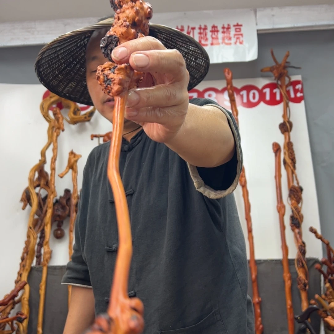 黑果木其他黑果木537