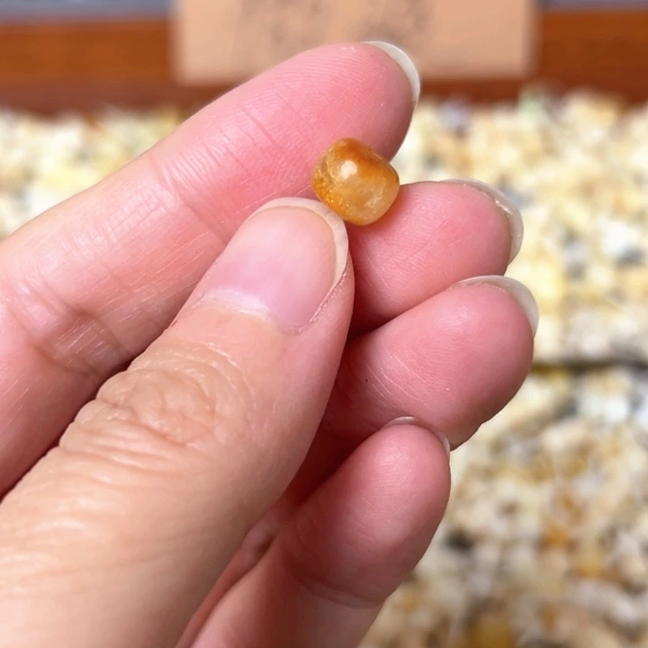蜜蜡未镶嵌裸石7.9mm一个