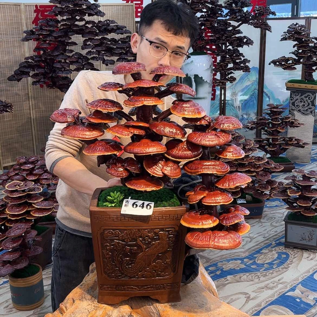 【闪购商品】88888