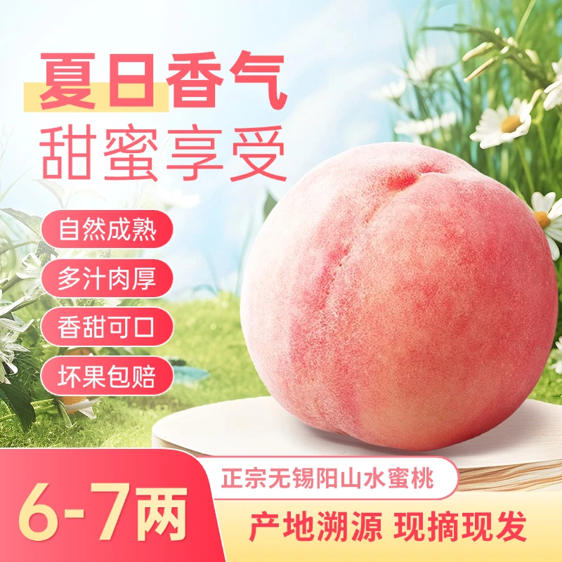 【6~7两】正宗无锡阳山水蜜桃新鲜水果应季白凤湖景整箱礼盒8只包邮