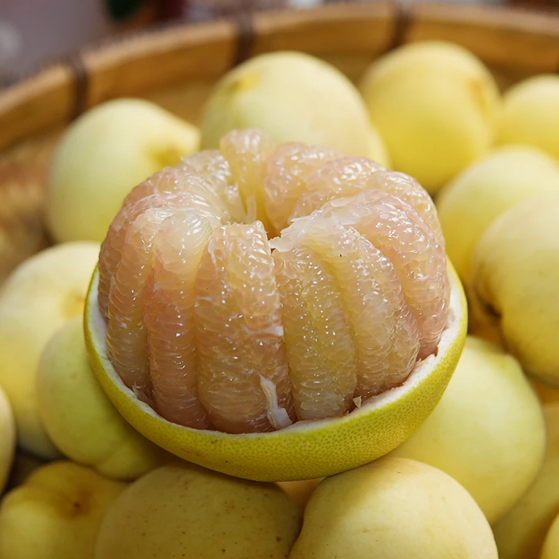 湖南高山香柚子怀化果园新鲜采摘饱满多汁香味浓郁当季水果