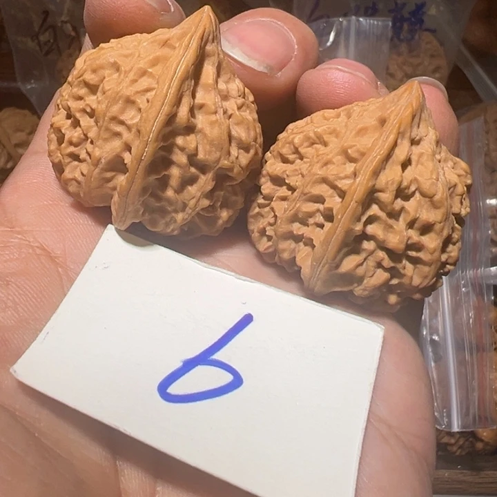 核桃全品无修赤龙