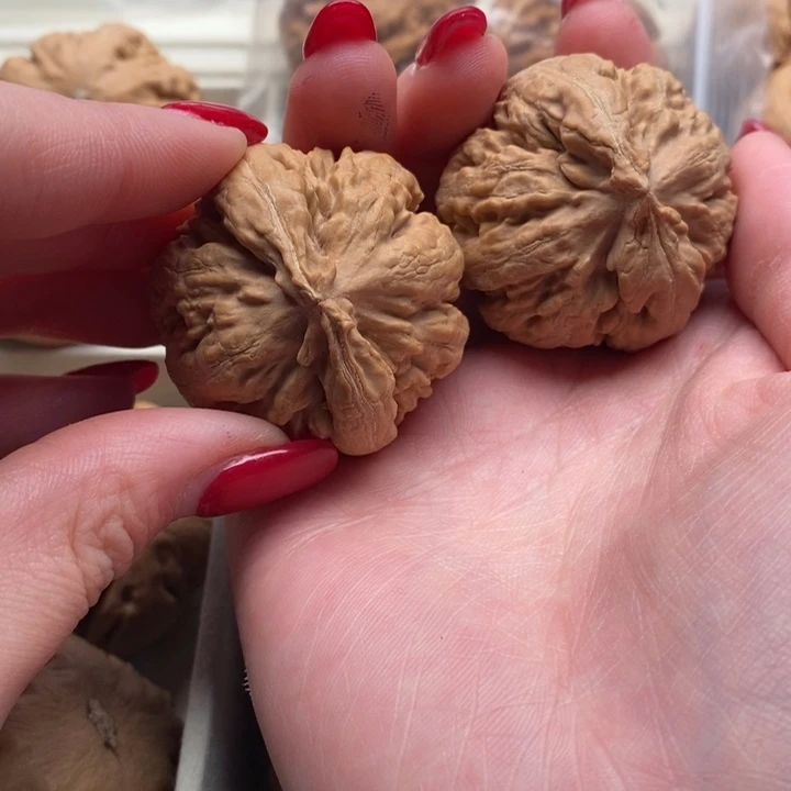 悠***乐文玩核桃把件霸王龙