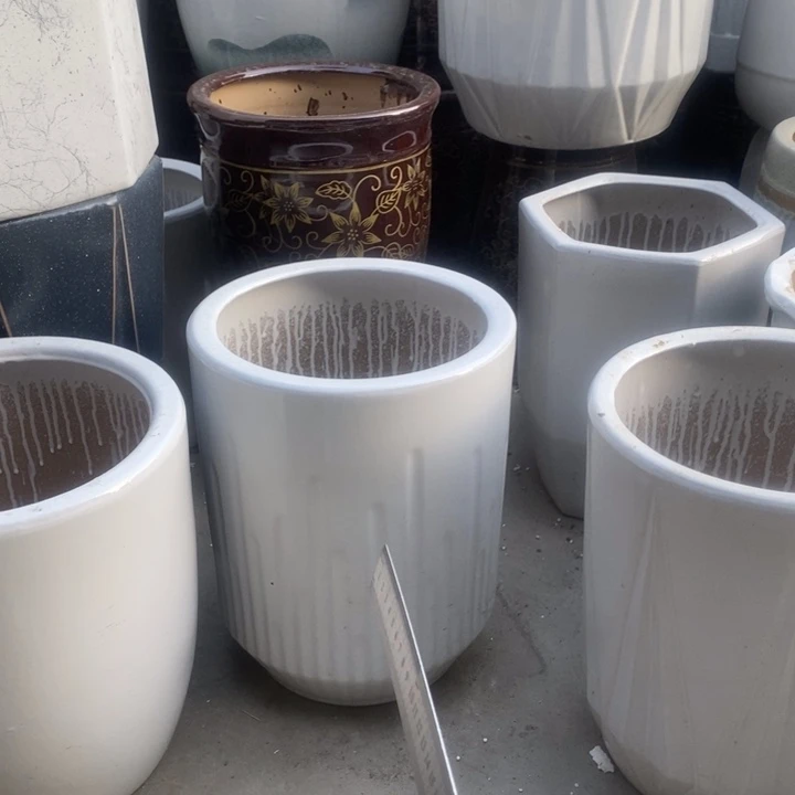 低腰白音符中号口26/33