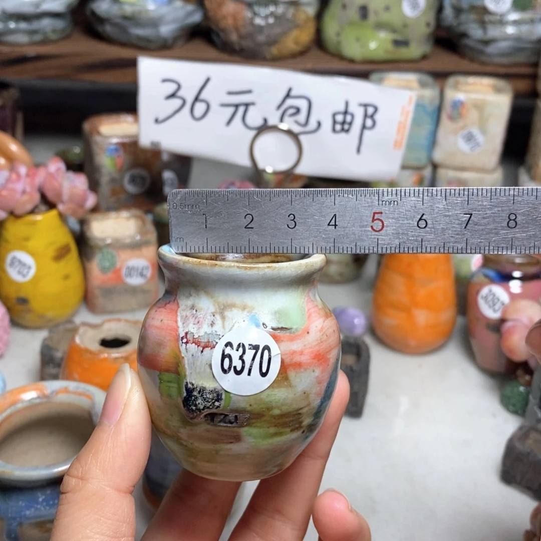 拍5送一个小礼物