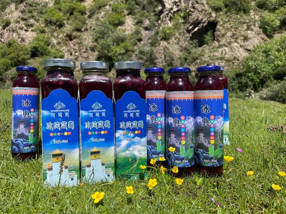 加查蓝莓冰点（西藏特产、山南发货）品味蓝莓、享受健康