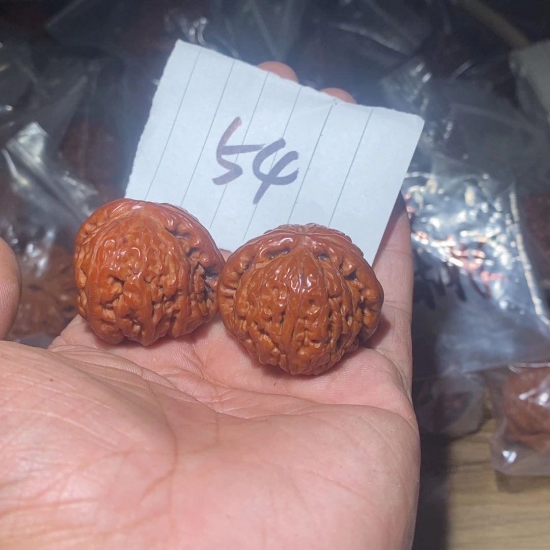 小白狮子。