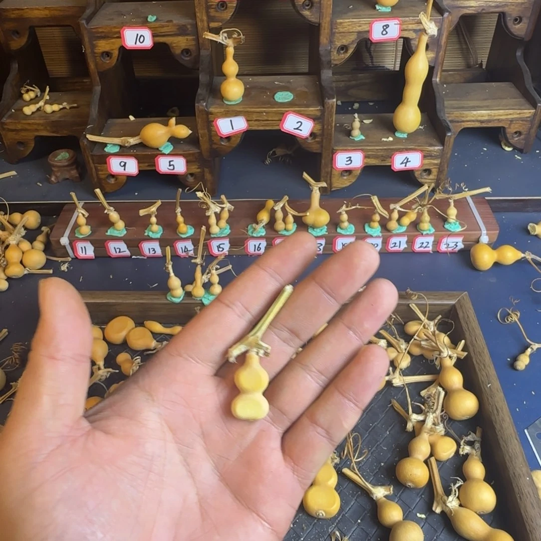 M****n我是一只小小鸟地域鬼的