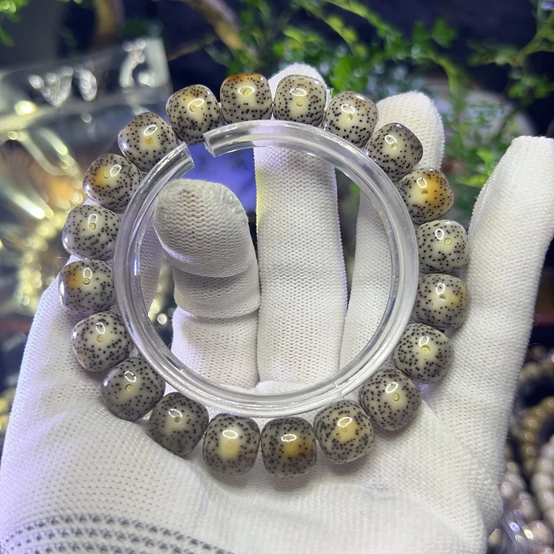 星月菩提手串海南原生态