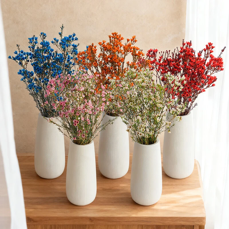 【暗香明媚】腊梅随机色1束