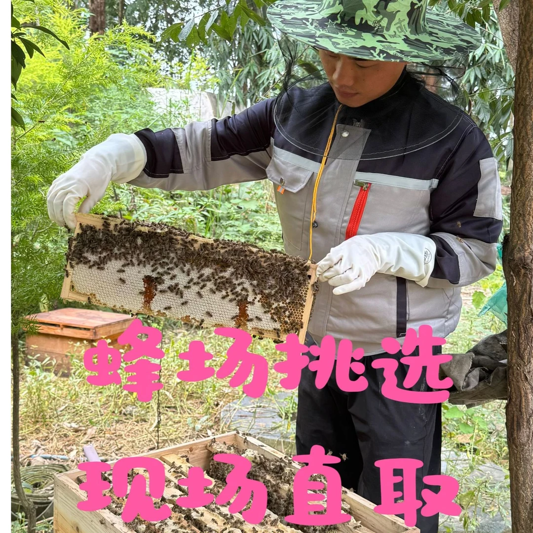 纯蜂蜜土蜂蜜直播间现取现发
