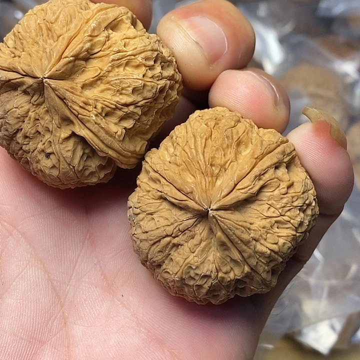 文玩核桃把件云南铁核桃75