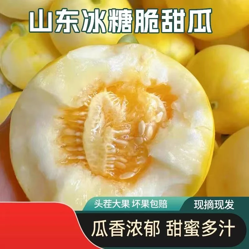 山东头茬甜瓜大黄冰糖脆甜瓜5斤装秧熟吊瓜现摘先发新鲜当季水果