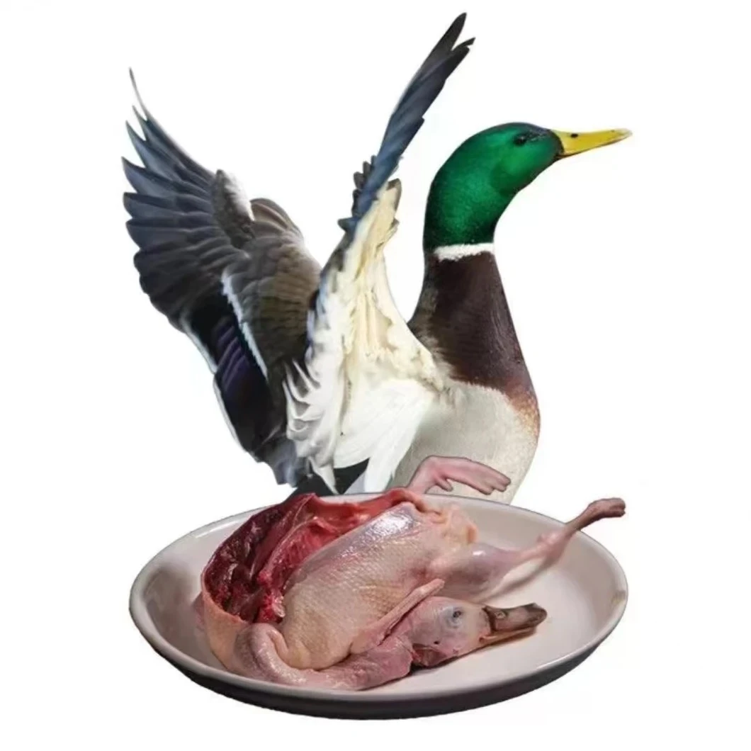 农家自家散养跑田二代绿头公鸭黄皮美味顺丰包邮