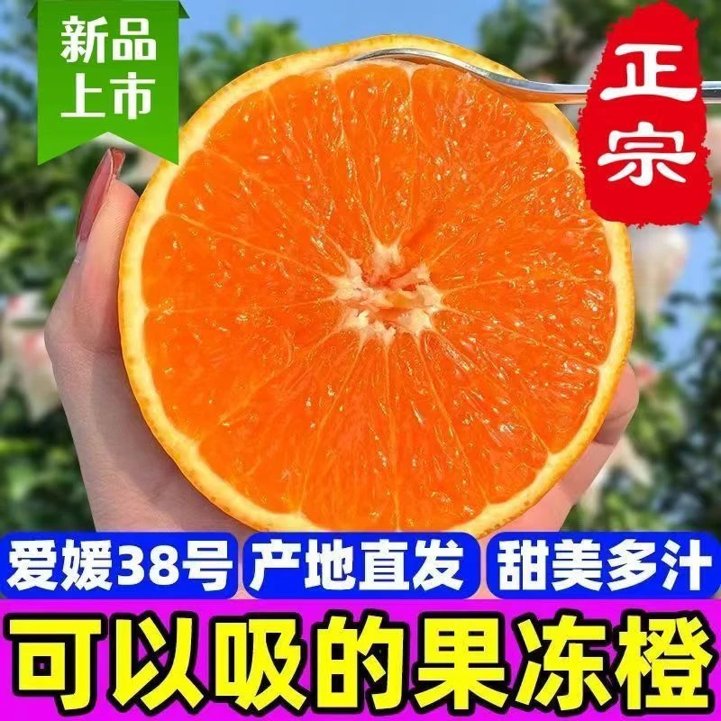 正宗爱媛38号果冻橙子酸甜多汁高山当季应季水果薄皮榨汁整箱